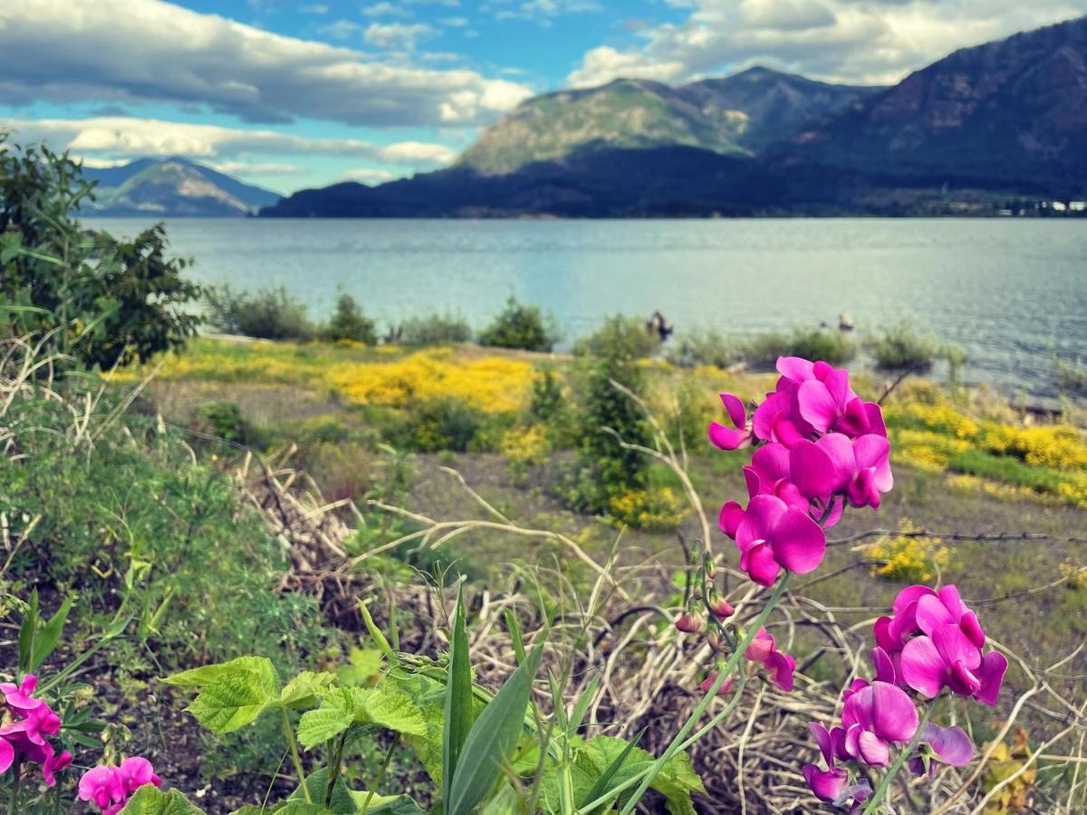 Gorgeous Gateway To The Columbia River Gorge 와슈걸 외부 사진