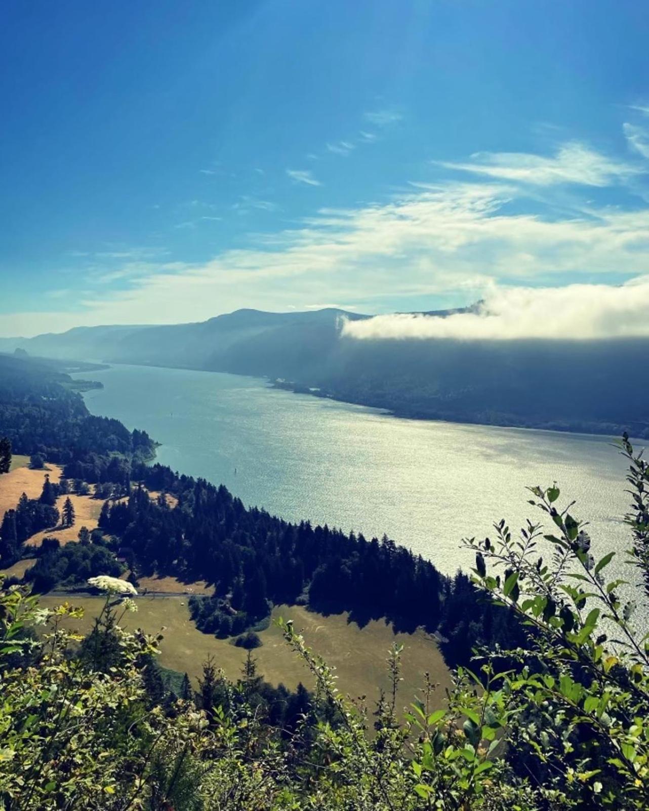 Gorgeous Gateway To The Columbia River Gorge 와슈걸 외부 사진