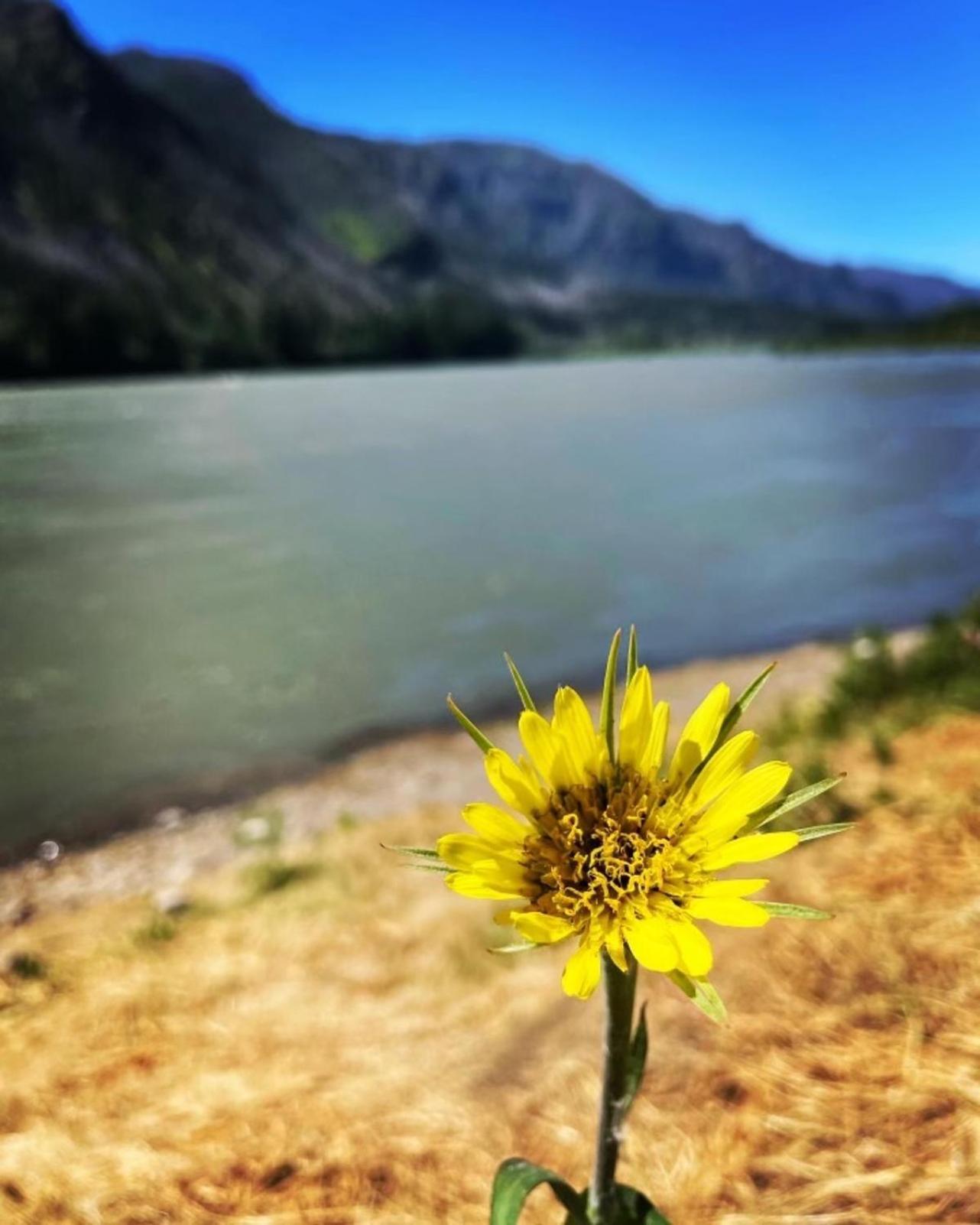 Gorgeous Gateway To The Columbia River Gorge 와슈걸 외부 사진