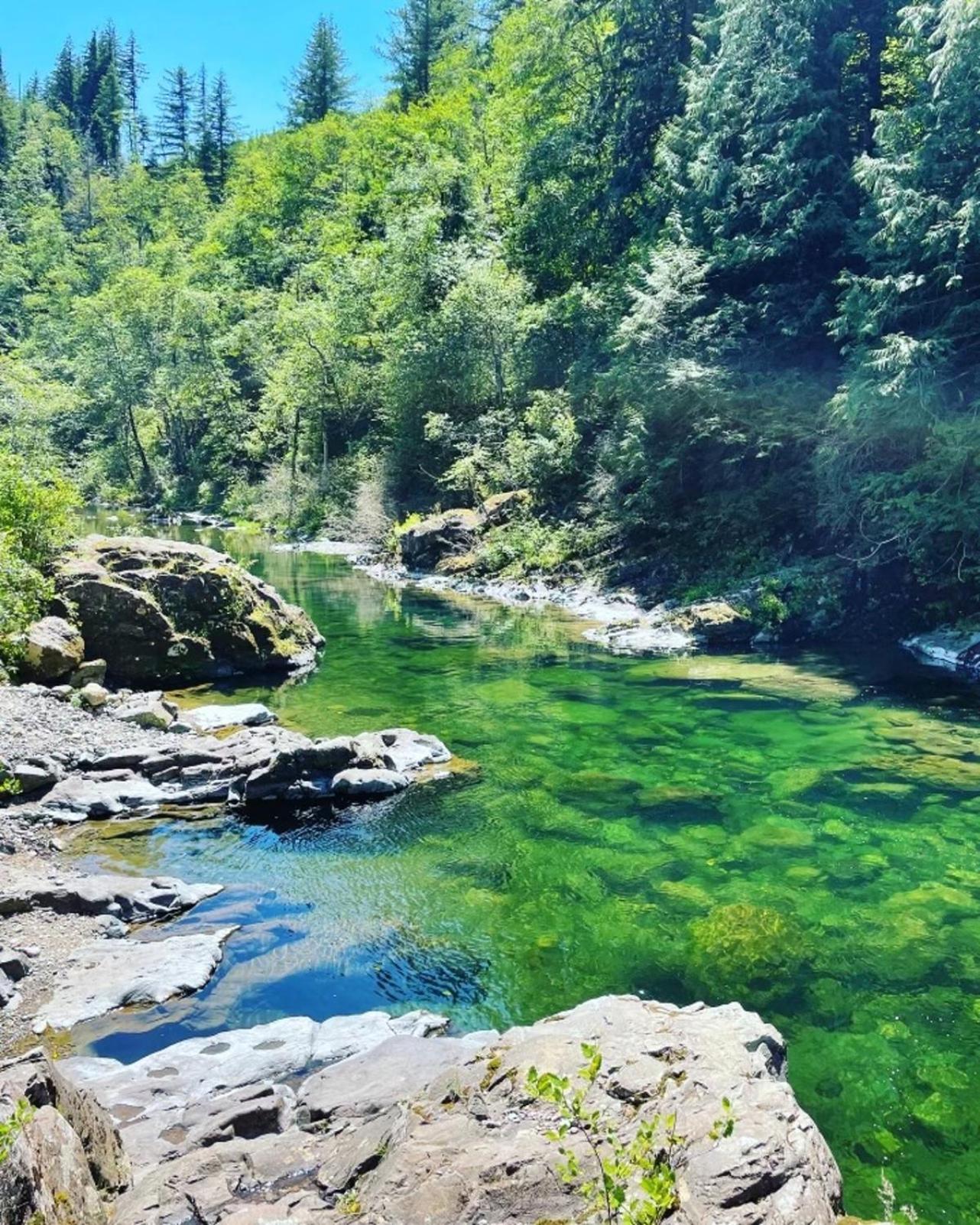 Gorgeous Gateway To The Columbia River Gorge 와슈걸 외부 사진