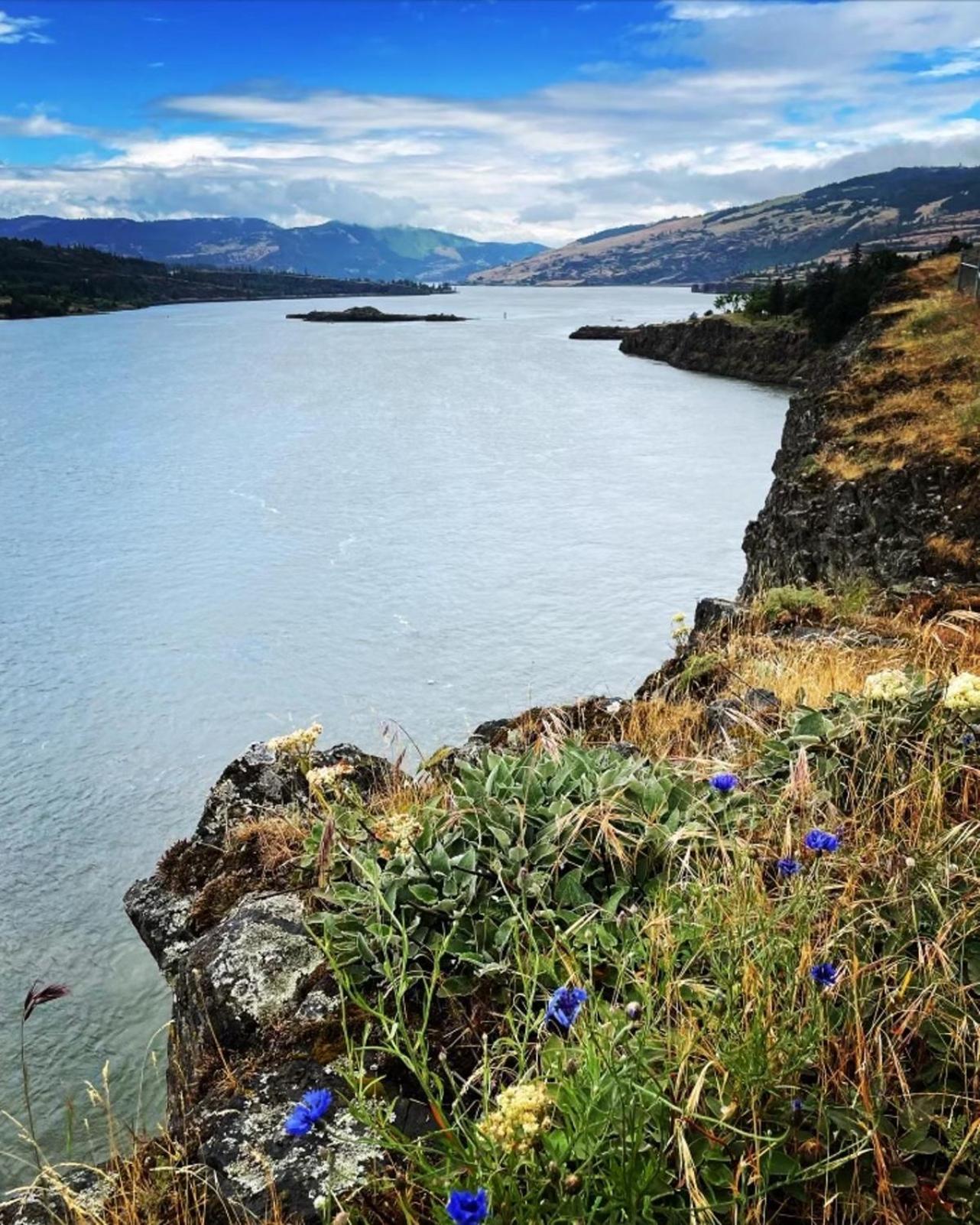Gorgeous Gateway To The Columbia River Gorge 와슈걸 외부 사진