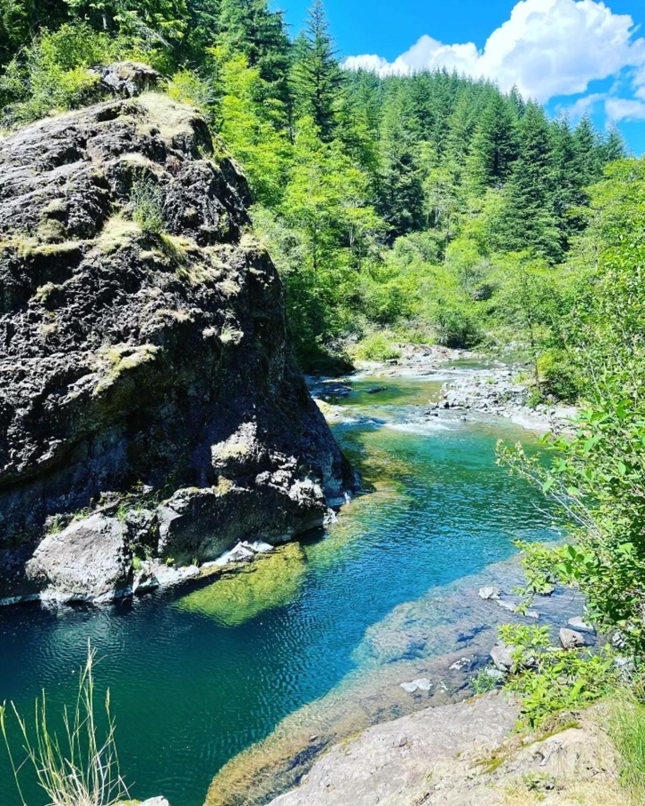 Gorgeous Gateway To The Columbia River Gorge 와슈걸 외부 사진